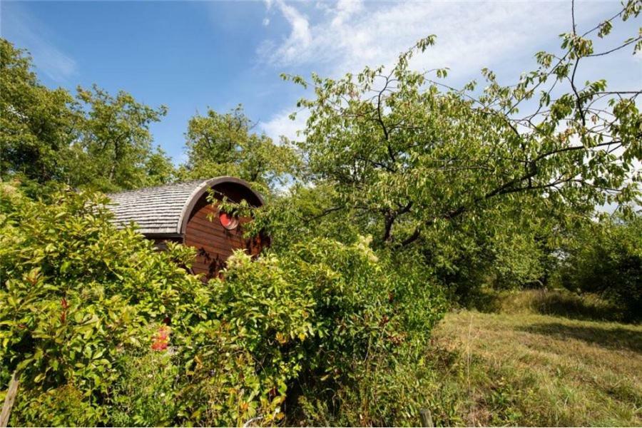 Le Chalet Du Chemin Et Sa Roulotte Berviller-en-Moselle Exteriér fotografie