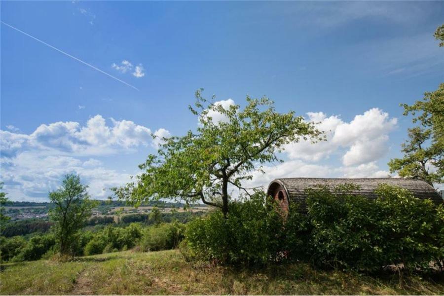 Le Chalet Du Chemin Et Sa Roulotte Berviller-en-Moselle Exteriér fotografie