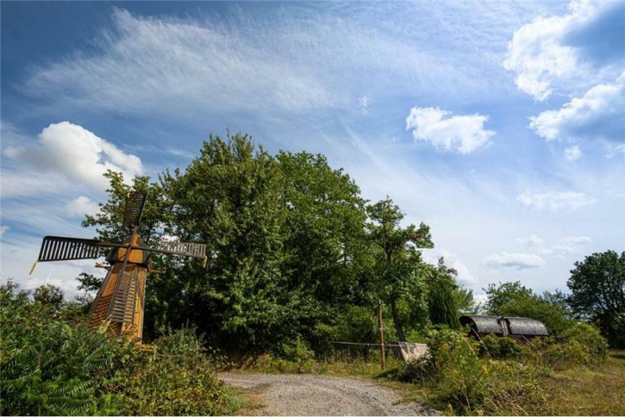 Le Chalet Du Chemin Et Sa Roulotte Berviller-en-Moselle Exteriér fotografie